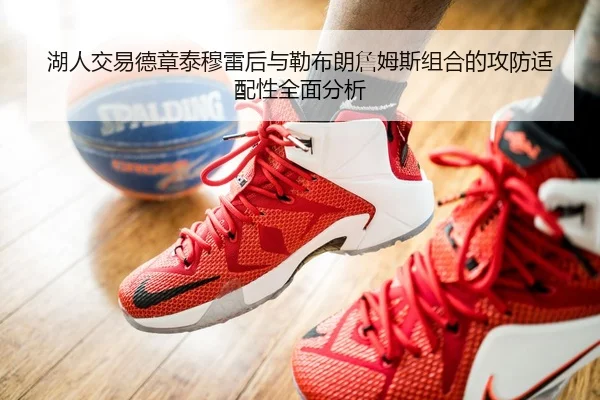 湖人交易德章泰穆雷后与勒布朗詹姆斯组合的攻防适配性全面分析