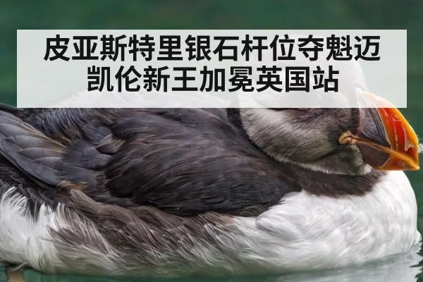 皮亚斯特里银石杆位夺魁迈凯伦新王加冕英国站